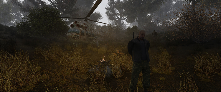 Dayz vpn detected что делать