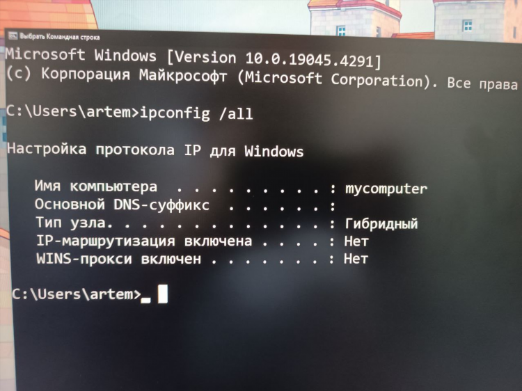 Radmin vpn не подключается к сети